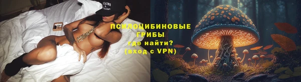 прущая мука Дмитровск