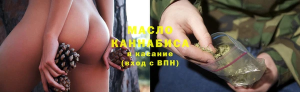 дмт Дмитров