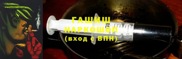 дмт Дмитров