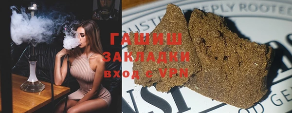 дмт Дмитров
