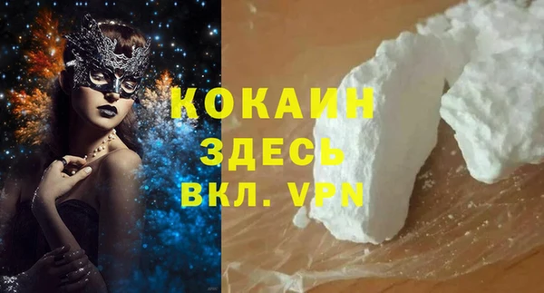 дмт Дмитров
